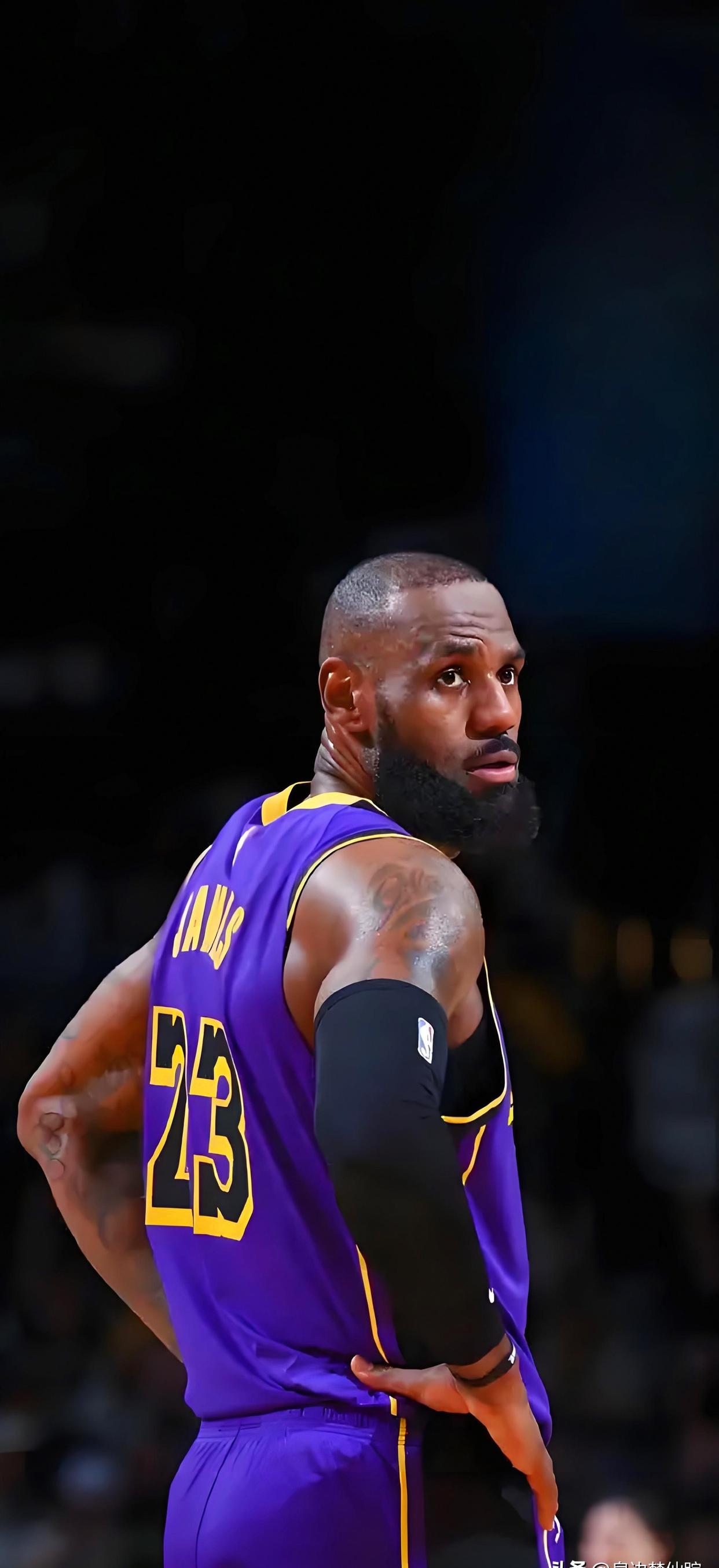 AYX-包含詹姆斯迎来十二赛季高光表现，塞尔维亚队球迷沸腾！的词条